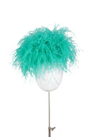 Load image into Gallery viewer, Ostrich Plume
